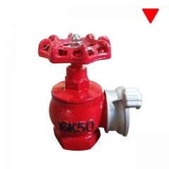 Wholesale best Ductile Iron Fire Hydrant Valve for Vietnam Russia